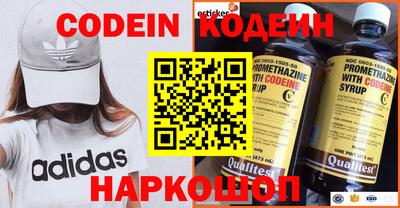 молекула духа Кингисепп