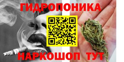 молекула духа Кингисепп