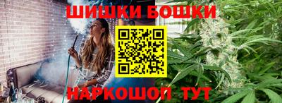 молекула духа Кингисепп