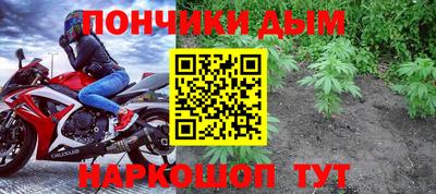 молекула духа Кингисепп