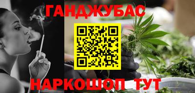 молекула духа Кингисепп