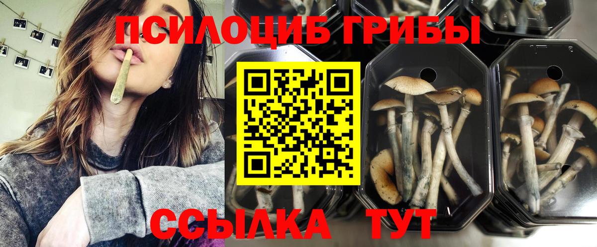 Тельмана  Галлюциногенные грибы мицелий  Вход с VPN 