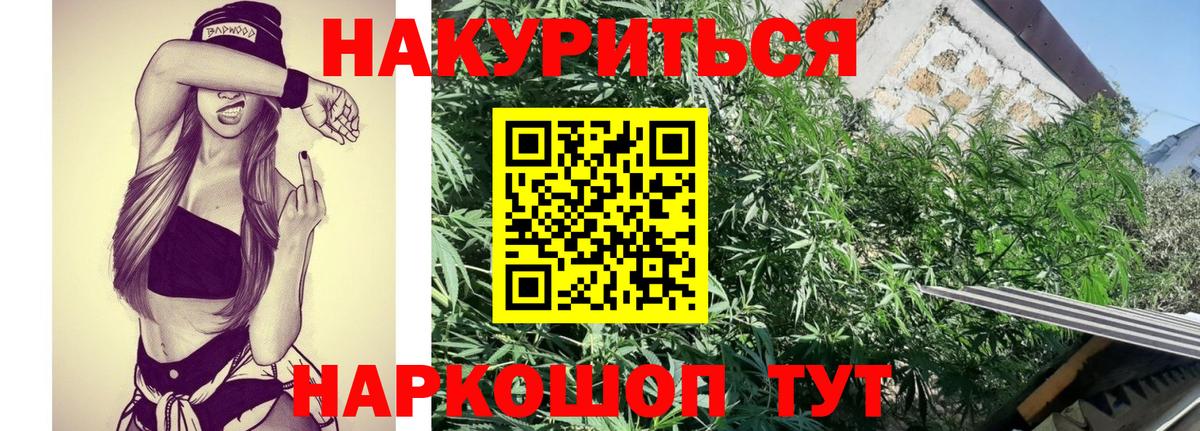 МАРИХУАНА гибрид  Каннабис Amnesia  Тельмана  Каннабис конопля  Вход с VPN 